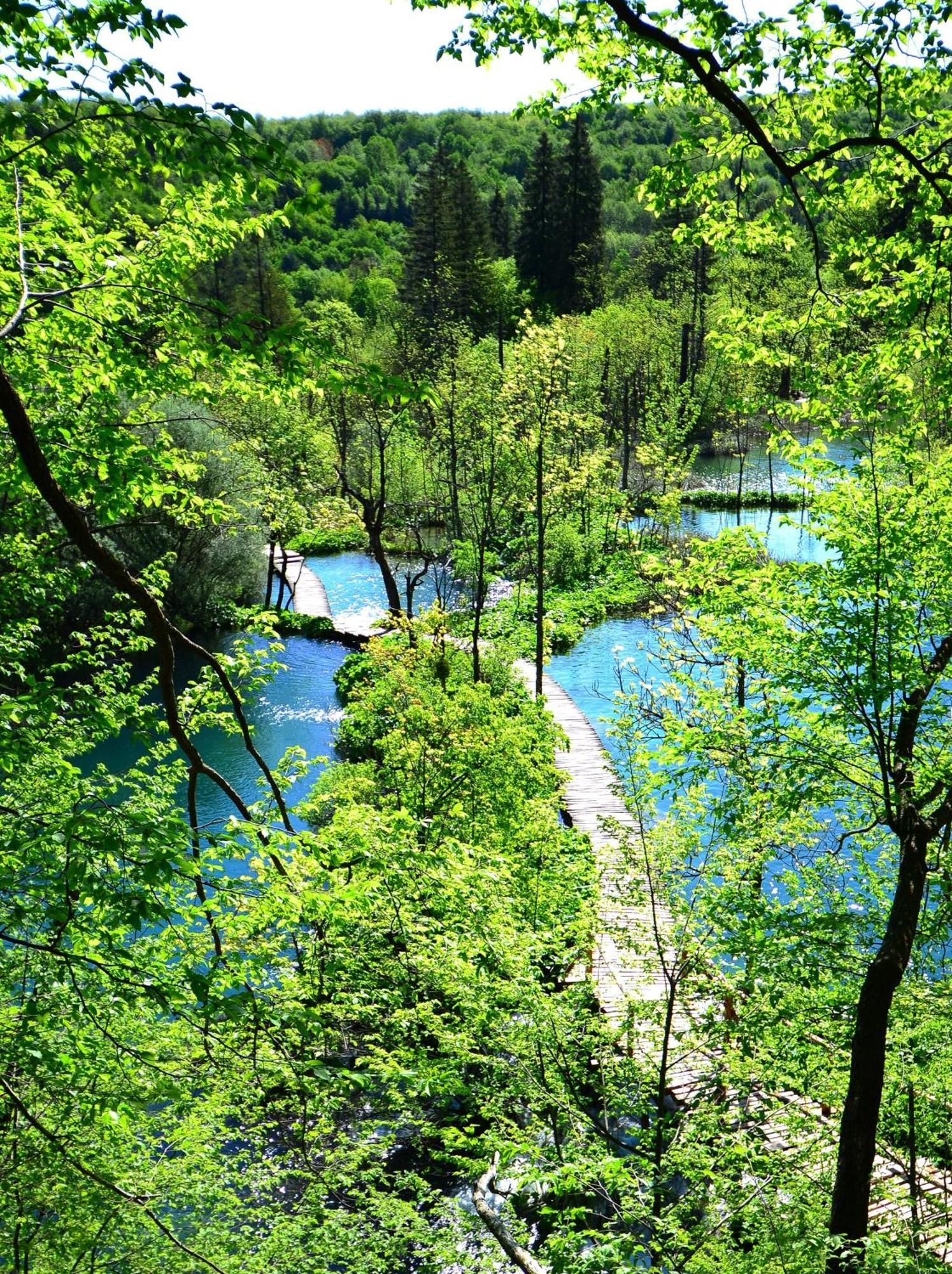House Janja Plitvice Hotel Seliste Dreznicko Eksteriør billede