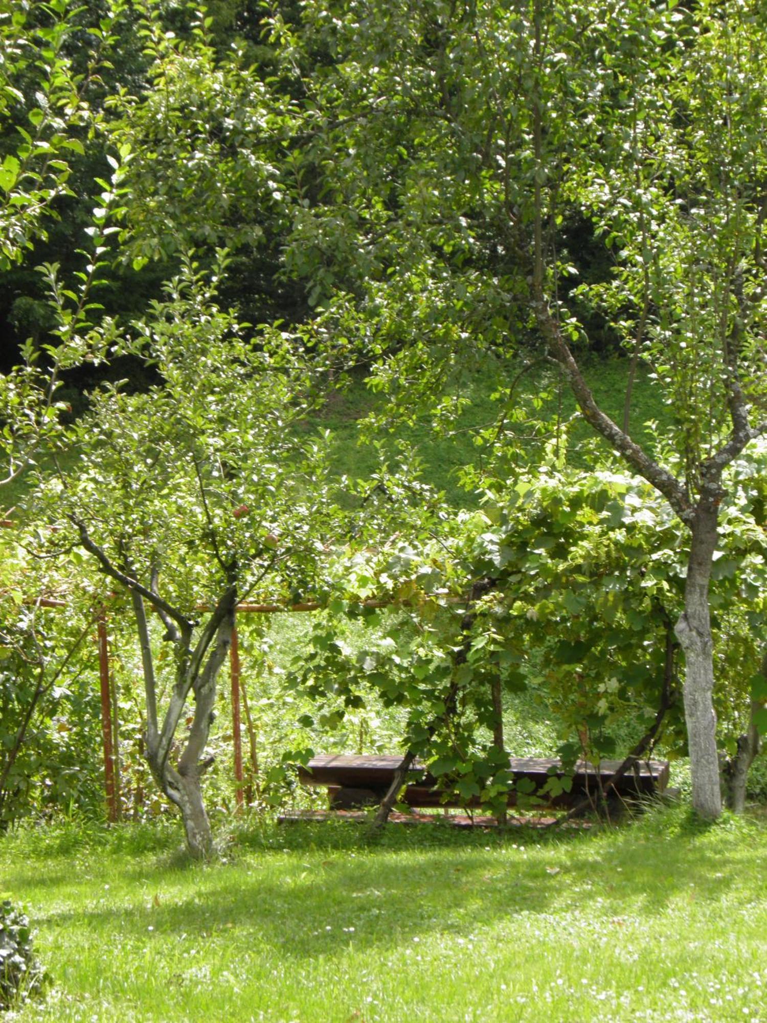 House Janja Plitvice Hotel Seliste Dreznicko Eksteriør billede